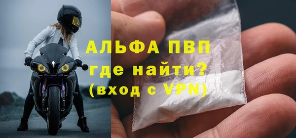 стаф Заводоуковск
