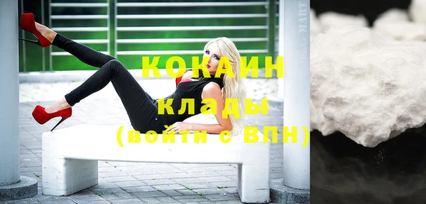 стаф Заводоуковск