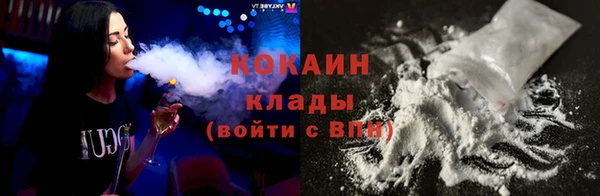 стаф Заводоуковск