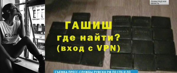 стаф Заводоуковск