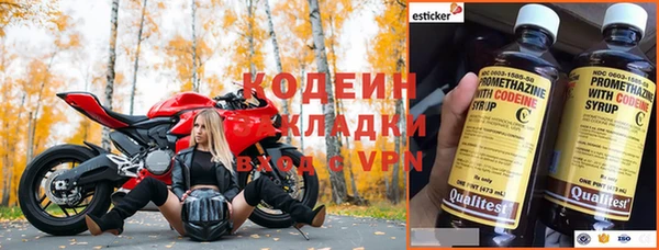 стаф Заводоуковск