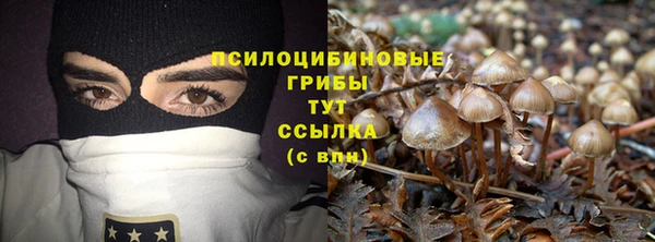 стаф Заводоуковск