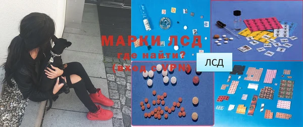 стаф Заводоуковск